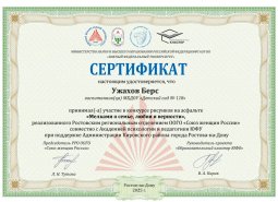 img (13)